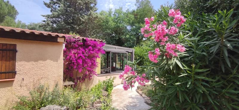 Allocigale_oiseaux_entree_loggia.jpg